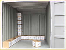 cardboard4.jpg