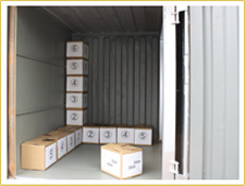 cardboard3.jpg